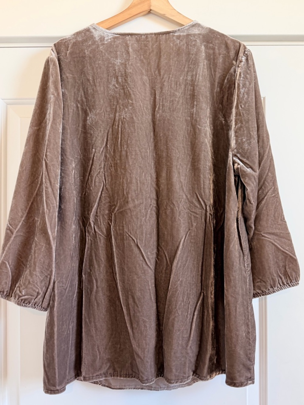 J. Jill Mocha Velvet Tunic with Embroidered Yoke - Picture 3 of 6